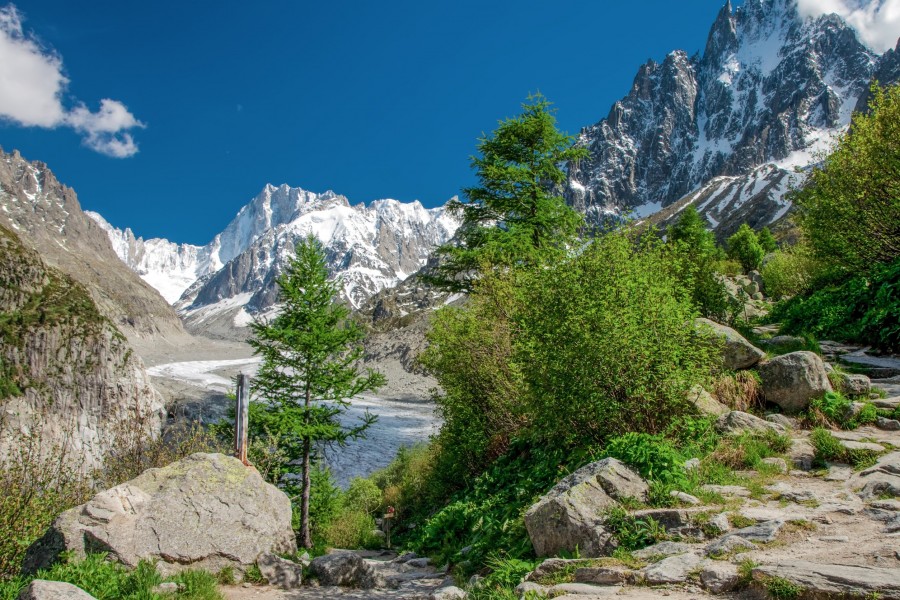 Comment profiter au maximum de Chamonix en été ?