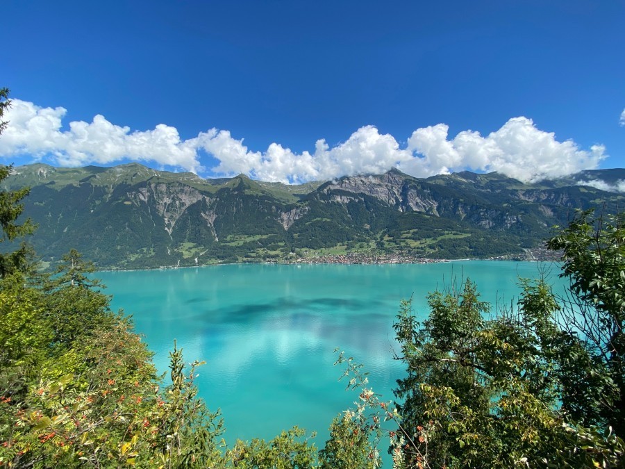 Comment profiter pleinement de la beauté naturelle du lac de Brienz ?