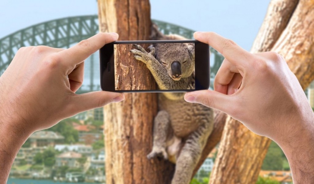 Pourquoi se rendre dans le plus grand zoo d'europe ?