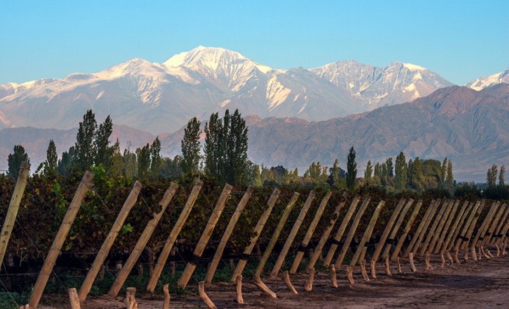 Pourquoi se rendre à Mendoza en Argentine ?