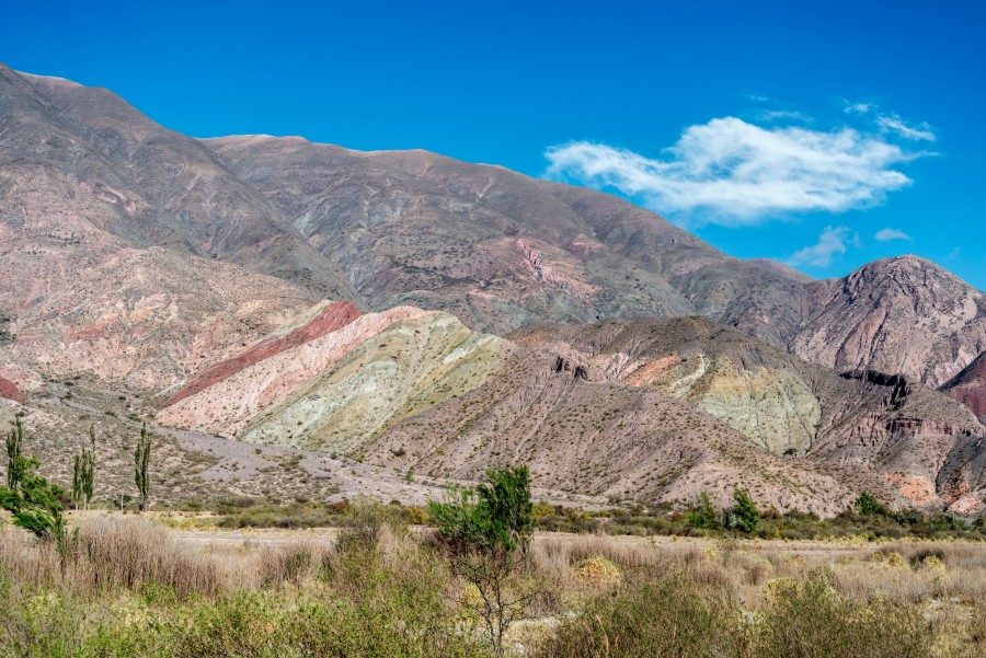 Quand est le meilleur moment pour visiter Salta en Argentine ?