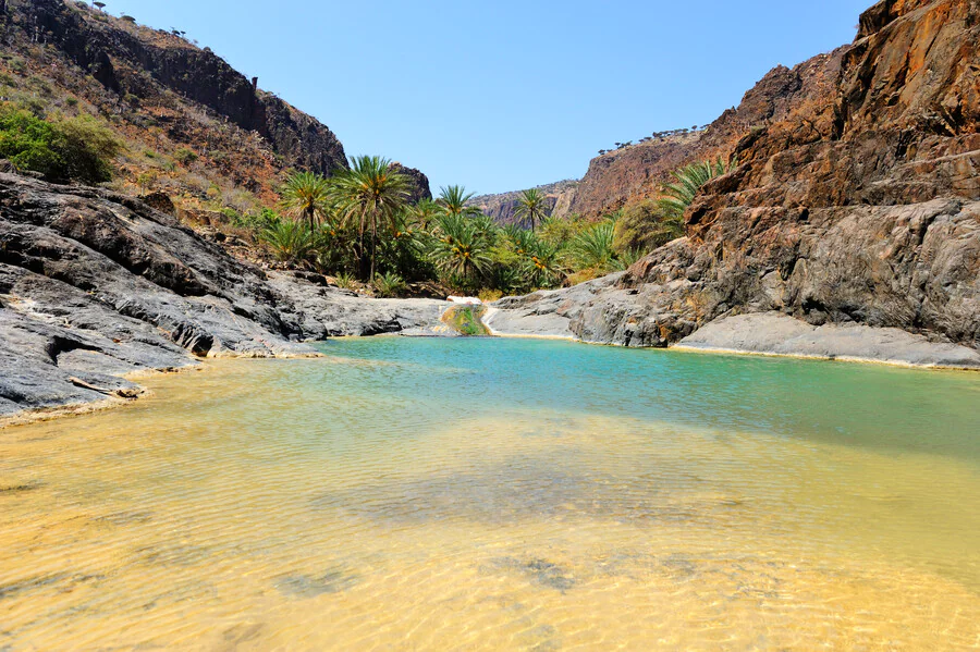 Quelles sont les activités à faire sur l'île de Socotra