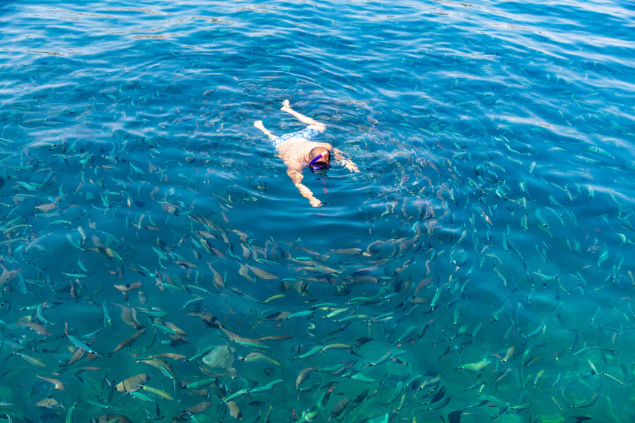 Quels sont les meilleurs spots de snorkeling en Martinique ?