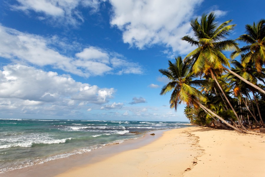 Sainte Anne en Martinique : un paradis tropical à explorer